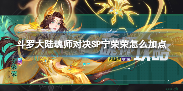 网1