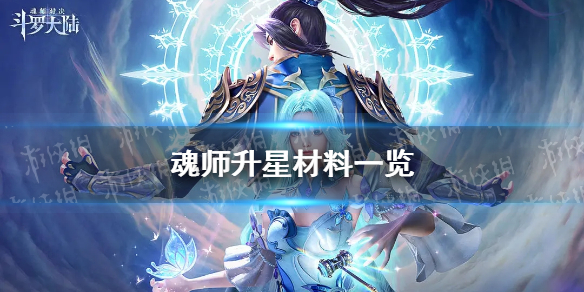 网1