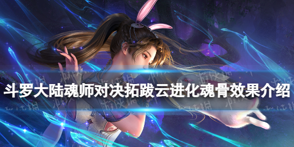 网1