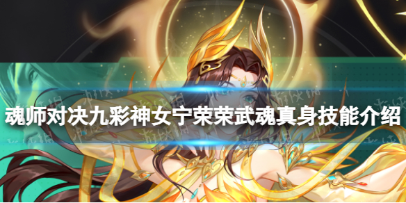 网1