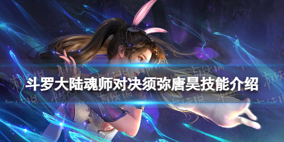 网1