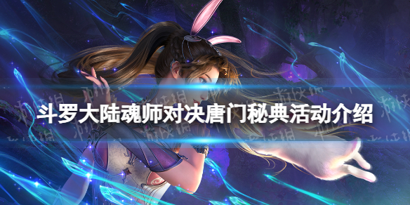 网1