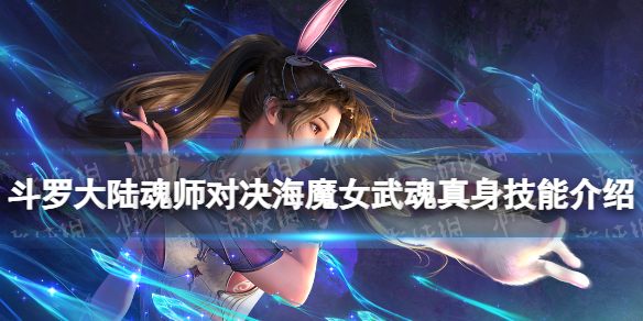 网1
