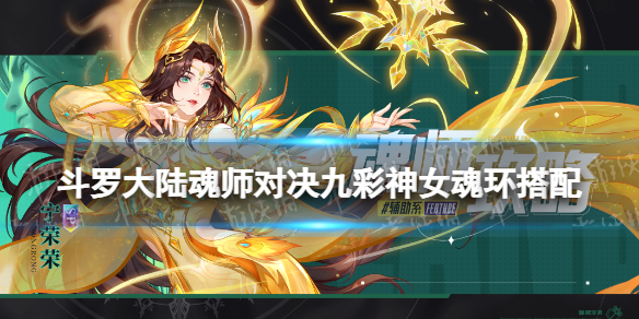 网1