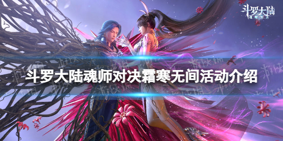 网1