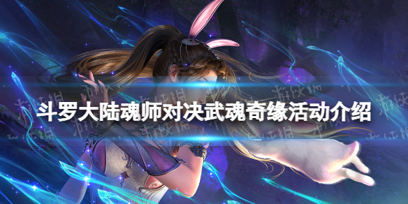 网1